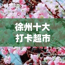 徐州十大打卡超市，購(gòu)物新寵上榜！