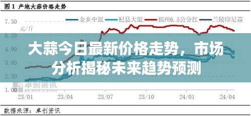 大蒜今日最新價格走勢，市場分析揭秘未來趨勢預(yù)測