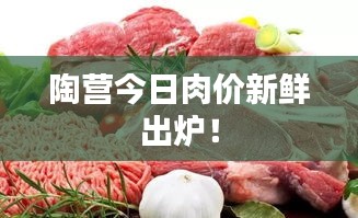 祖道供張 第2頁(yè)