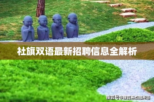 社旗雙語最新招聘信息全解析