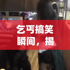 乞丐搞笑瞬間，揭示生活輕松百態(tài)