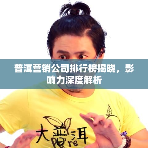 普洱營銷公司排行榜揭曉，影響力深度解析