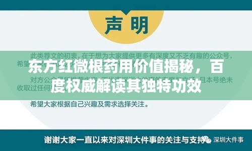 東方紅微根藥用價(jià)值揭秘，百度權(quán)威解讀其獨(dú)特功效