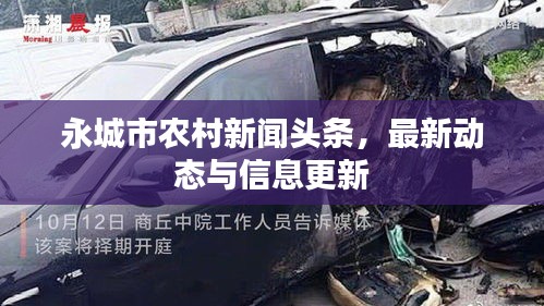 永城市農(nóng)村新聞?lì)^條，最新動(dòng)態(tài)與信息更新