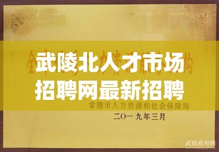 武陵北人才市場(chǎng)招聘網(wǎng)最新招聘動(dòng)態(tài)速遞