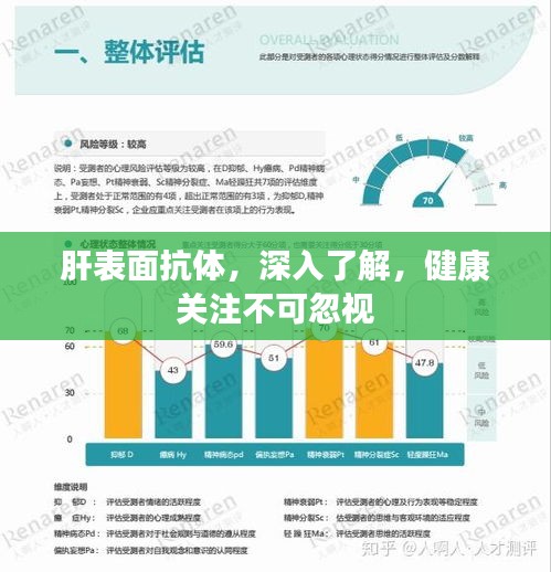 肝表面抗體，深入了解，健康關(guān)注不可忽視