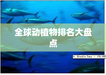全球動植物排名大盤點