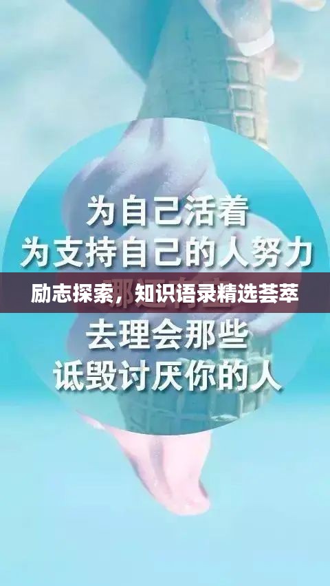 勵(lì)志探索，知識(shí)語(yǔ)錄精選薈萃