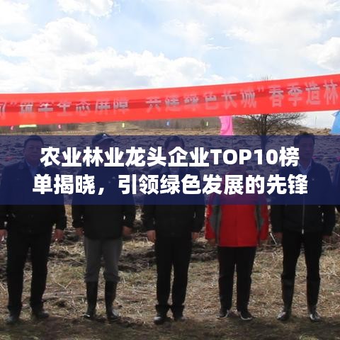農(nóng)業(yè)林業(yè)龍頭企業(yè)TOP10榜單揭曉，引領(lǐng)綠色發(fā)展的先鋒力量