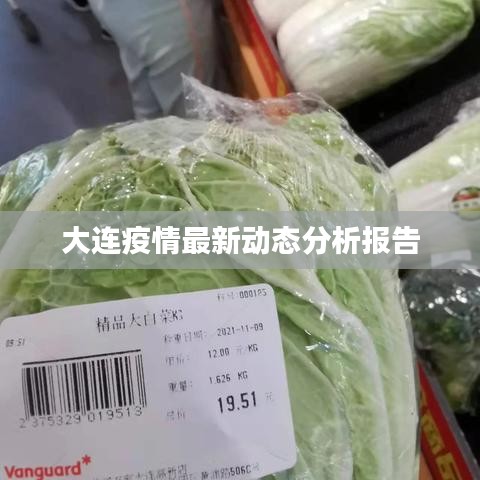 大連疫情最新動(dòng)態(tài)分析報(bào)告