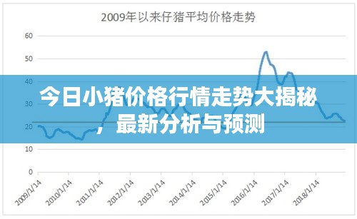 今日小豬價(jià)格行情走勢(shì)大揭秘，最新分析與預(yù)測(cè)