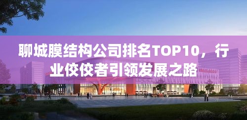聊城膜結構公司排名TOP10，行業(yè)佼佼者引領發(fā)展之路