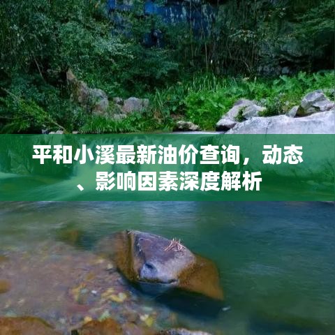 平和小溪最新油價(jià)查詢，動(dòng)態(tài)、影響因素深度解析