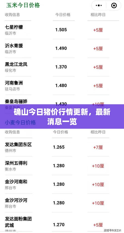 確山今日豬價(jià)行情更新，最新消息一覽