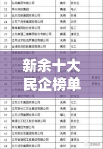 新余十大民企榜單揭曉，領先企業(yè)的榮耀與實力展示