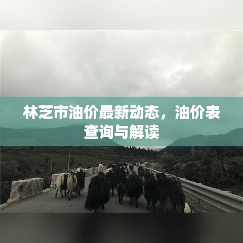 林芝市油價(jià)最新動(dòng)態(tài)，油價(jià)表查詢與解讀