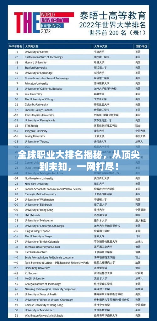 全球職業(yè)大排名揭秘，從頂尖到未知，一網(wǎng)打盡！