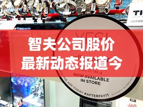 智夫公司股價(jià)最新動(dòng)態(tài)報(bào)道今日揭曉！