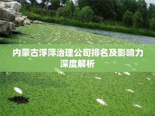 內(nèi)蒙古浮萍治理公司排名及影響力深度解析