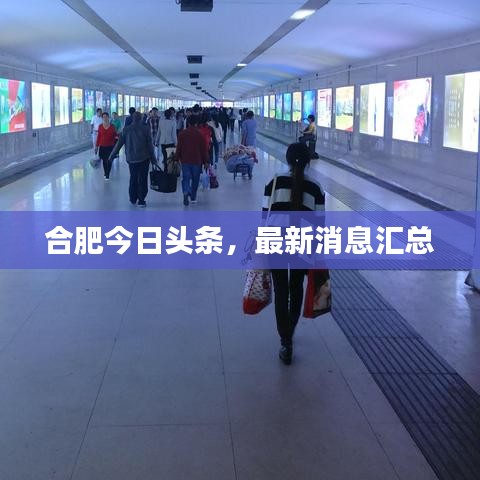 合肥今日頭條，最新消息匯總