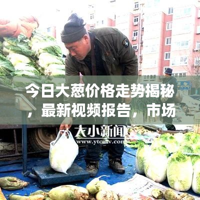 飛鳥依人 第2頁