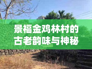 景福金雞林村的古老韻味與神秘風(fēng)情探尋