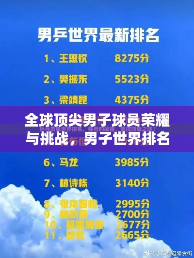 全球頂尖男子球員榮耀與挑戰(zhàn)，男子世界排名深度解析