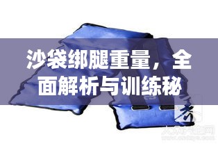 沙袋綁腿重量，全面解析與訓(xùn)練秘籍！