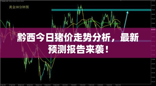 黔西今日豬價(jià)走勢分析，最新預(yù)測報(bào)告來襲！