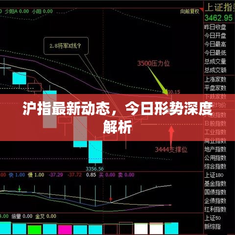 還淳反素 第2頁