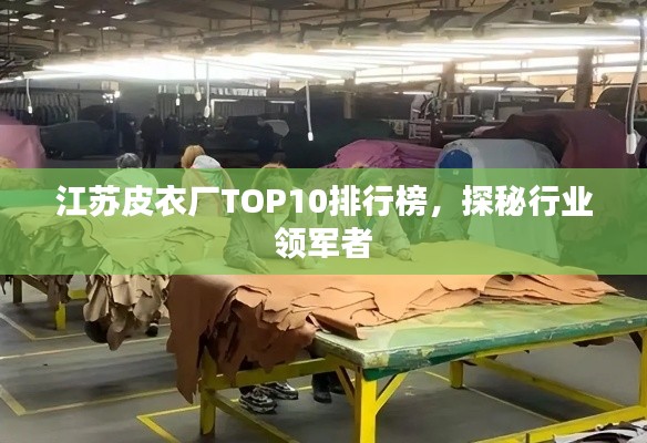 江蘇皮衣廠TOP10排行榜，探秘行業(yè)領(lǐng)軍者