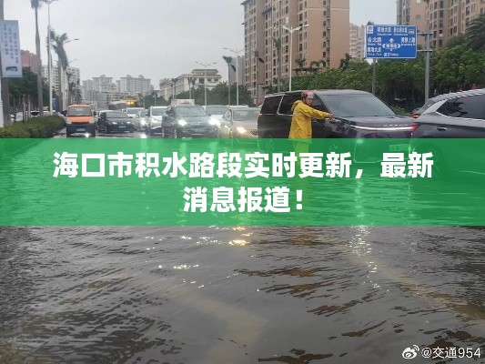 ?？谑蟹e水路段實時更新，最新消息報道！