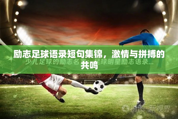 勵(lì)志足球語(yǔ)錄短句集錦，激情與拼搏的共鳴