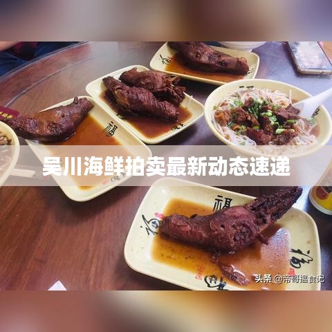 吳川海鮮拍賣最新動態(tài)速遞