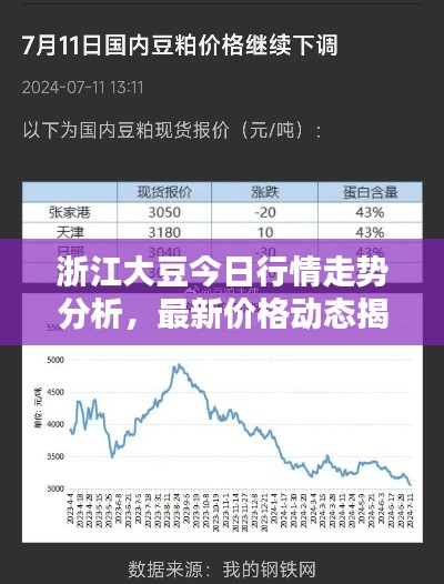 浙江大豆今日行情走勢分析，最新價格動態(tài)揭秘！