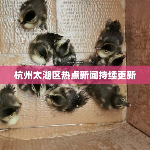 杭州太湖區(qū)熱點(diǎn)新聞持續(xù)更新