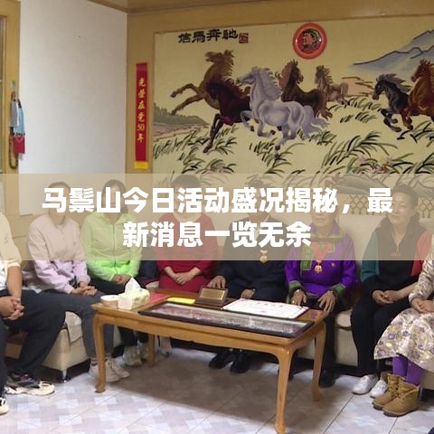 馬鬃山今日活動盛況揭秘，最新消息一覽無余