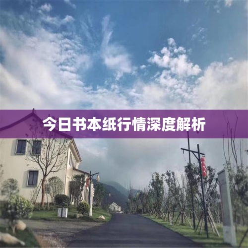 今日書本紙行情深度解析