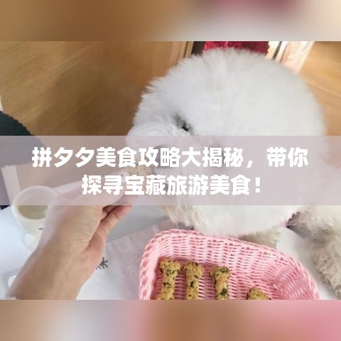 拼夕夕美食攻略大揭秘，帶你探尋寶藏旅游美食！