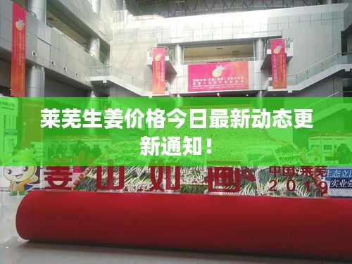 萊蕪生姜價(jià)格今日最新動(dòng)態(tài)更新通知！
