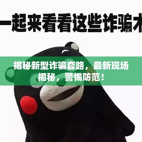 揭秘新型詐騙套路，最新現(xiàn)場(chǎng)揭秘，警惕防范！