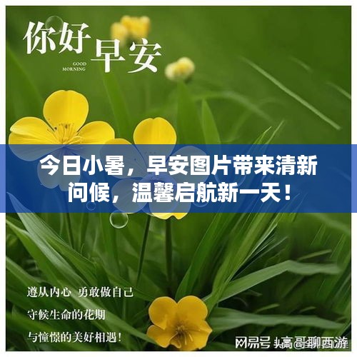 今日小暑，早安圖片帶來(lái)清新問(wèn)候，溫馨啟航新一天！