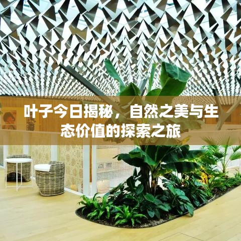 葉子今日揭秘，自然之美與生態(tài)價值的探索之旅