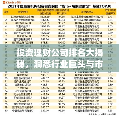 投資理財(cái)公司排名大揭秘，洞悉行業(yè)巨頭與市場趨勢