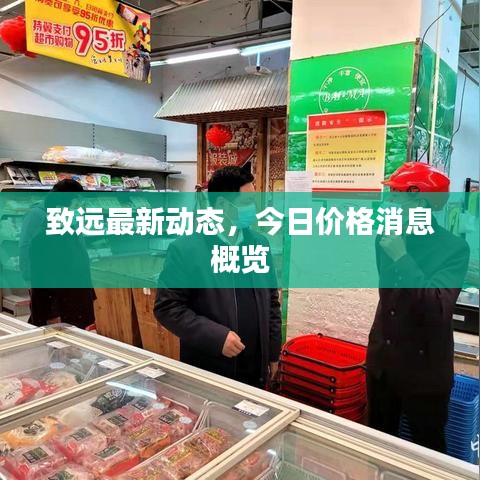 致遠(yuǎn)最新動(dòng)態(tài)，今日價(jià)格消息概覽
