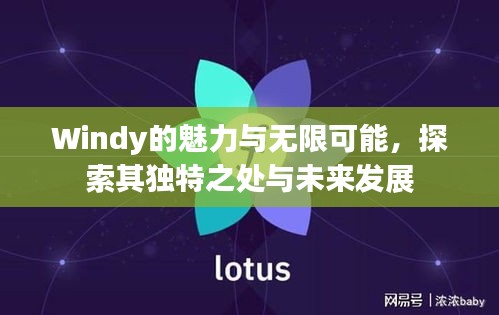 Windy的魅力與無(wú)限可能，探索其獨(dú)特之處與未來(lái)發(fā)展