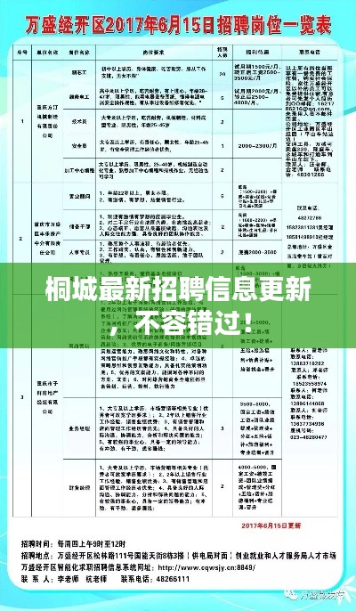 桐城最新招聘信息更新，不容錯過！