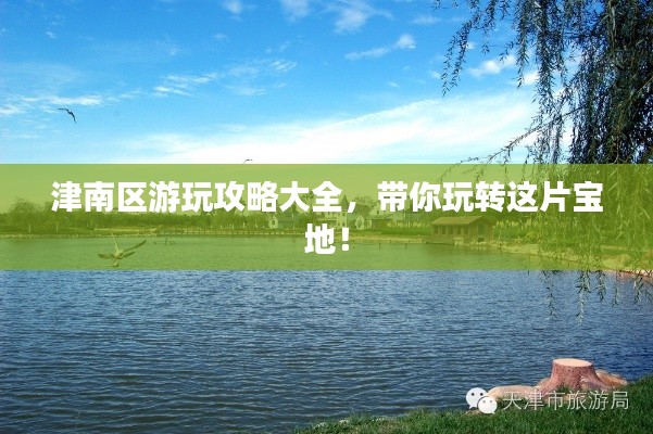 津南區(qū)游玩攻略大全，帶你玩轉(zhuǎn)這片寶地！