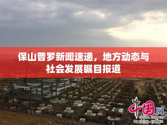 保山普羅新聞速遞，地方動(dòng)態(tài)與社會(huì)發(fā)展矚目報(bào)道