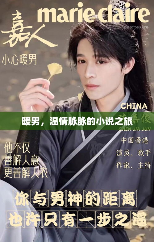 暖男，溫情脈脈的小說之旅